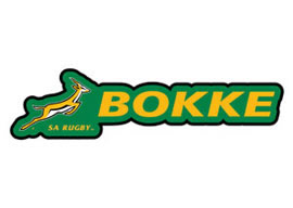 SA Rugby Bokke Magnet