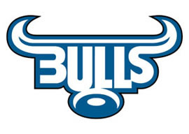 Blue Bulls Magnet