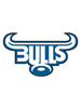 Blue Bulls Magnet