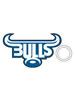 Blue Bulls Keyring